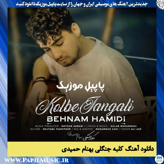 Behnam Hamidi Kolbe Jangali دانلود آهنگ کلبه جنگلی از بهنام حمیدی